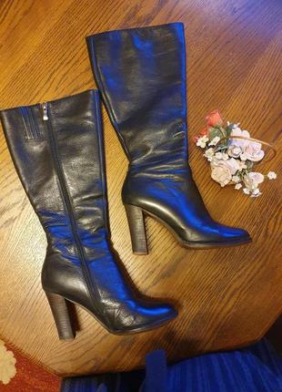 Сапоги демисезонные