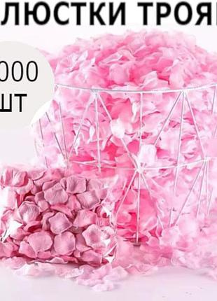 Набір рожевих пелюстків троянд, 1000шт