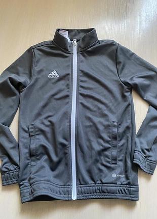 Олімпійка adidas