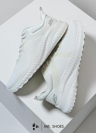 Кросівки skechers bobs squad chaos