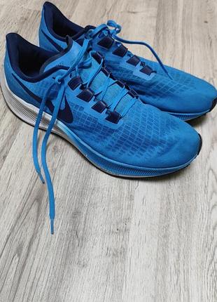 Мужские кроссовки nike air pegasus