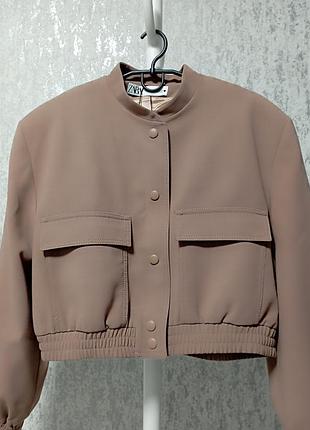 Бобер  zara.
