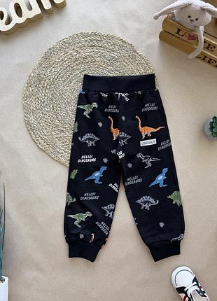 Спортивні штани dinosaurs чорні