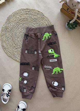 Спортивные штаны dinosaurs коричневые