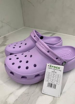 Crocs classic classic platform w9 /крокси жіночі на платформі фіолетовий колір