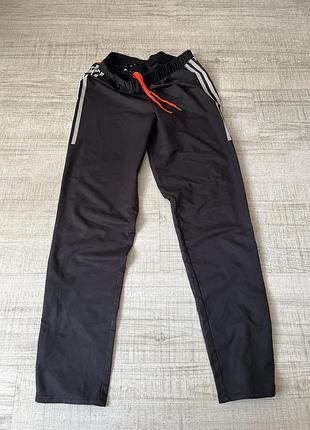 Жіночі спортивні штани adidas
