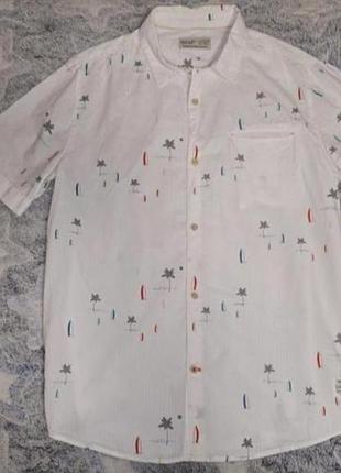 Zara kids  теніска 11-12 р по бірці