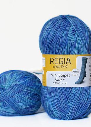 Regia color 100 г, 00511