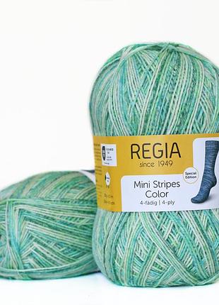 Regia color 100 г, 00520