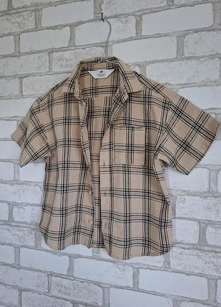 Сорочка h&m ріст 110 ,4-5 років