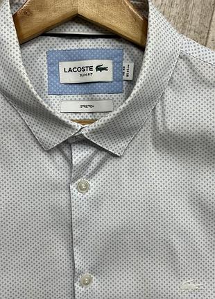 Сорочка lacoste 4