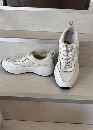 Стильні кросівки calvin klein р.38 білі