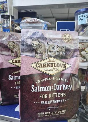Сухой корм для котят carnilove salmon&amp;turkey kitten карнилав для котят холистик для котят корм для беременных и лактирующих