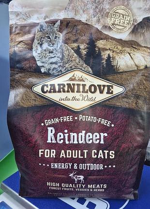 Корм carnilove reindeer для взрослых активных котов (energy &amp; outdoor) корм карнилав с оленем карнилав для активных котов карнилав для домашних кошек