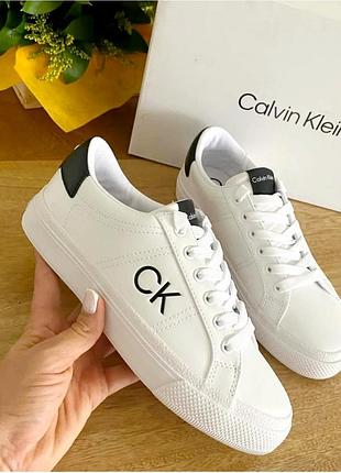 Кеди calvin klein