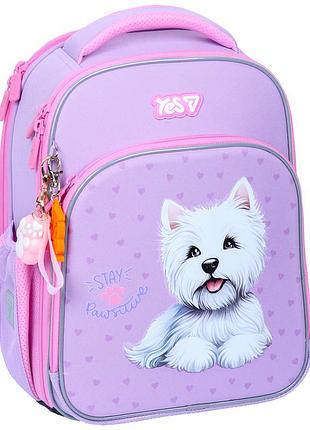 Рюкзак школьный каркасный yes stay pawesome 550226