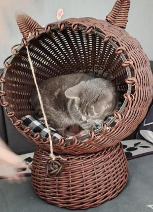 Котодомашки, кашпо, корзины из ротанга