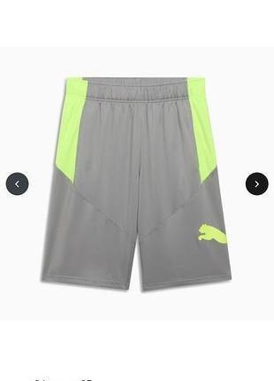Шорты мужские puma