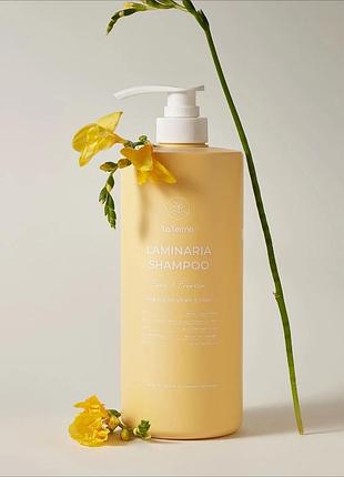 Натуральний корейський живильний шампунь laferme laminaria shampoo pear & freesia