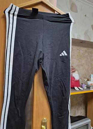 Продам лосины адидас оригинал