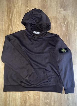 Чоловіче худі коричневого кольору stone island