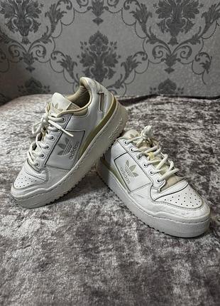 Кросівки adidas