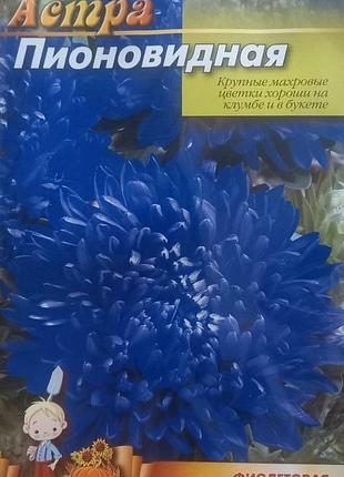 Насіння астри "піоноїдна фіолетова" фермерський пакет