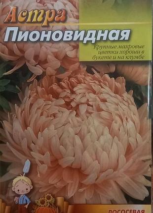 Насіння астри "піоноїдний лососева" фермерський пакет