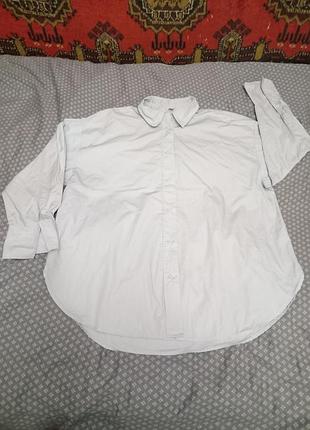 Женская хлопковая удлиненная рубашка,over size h&amp;m, оригинал, р. 52-54