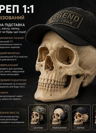💀 череп 1:1 — реалистичный анатомический декор в натуральный размер