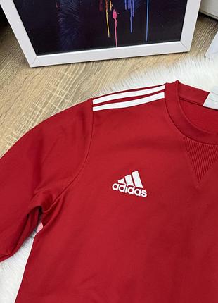 Світшот  чоловіча adidas 5