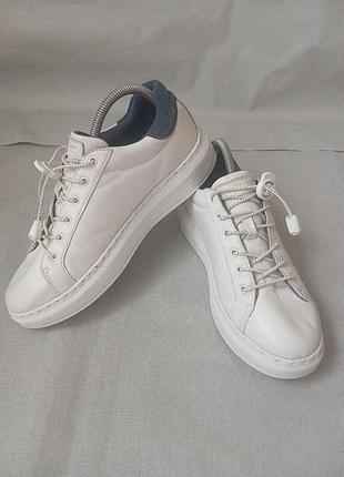 Жіночі кросівки skechers street memory foam (маломірки 25 см), білі.