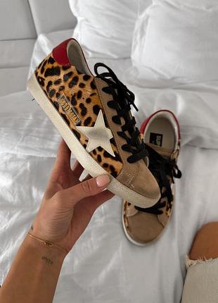 Golden goose super star leopard 2