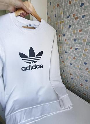 Свитшот adidas. 6