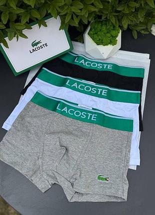 Боксерки lacoste