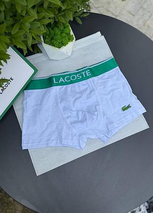 Боксерки lacoste 5