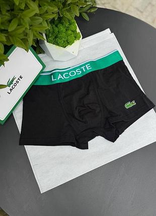 Боксерки lacoste 3