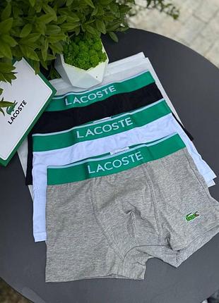 Боксерки lacoste 2
