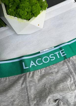 Боксерки lacoste 8
