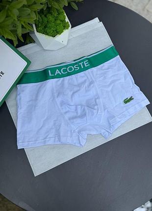Боксерки lacoste 4