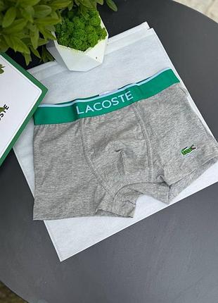 Боксерки lacoste 6