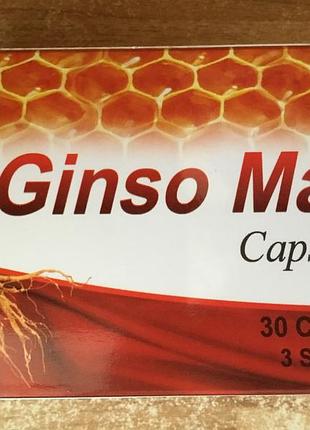 Женьшень, Мультивитамины минералы египет ginso max