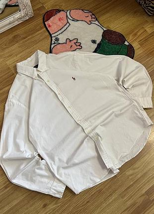 Рубашки polo ralph lauren