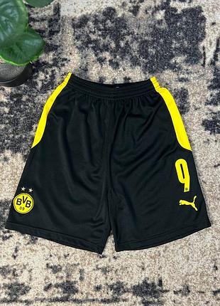Футбольні шорти puma borussia dortmund