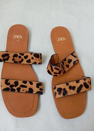 Леопардовые сандалии zara (босоножки), стелька 24.5 см