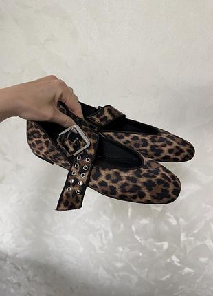 Балетки леопард zara