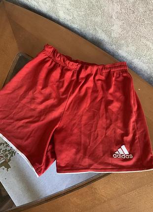 Продам шорти adidas, розмір 2xl, унісекс