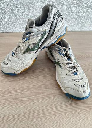 Mizuno wave rally