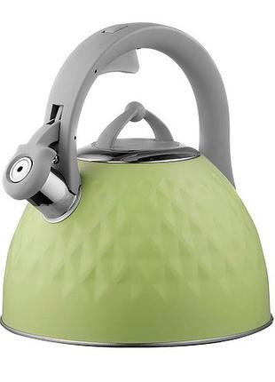 Чайник со свистком ardesto gemini ar1947kg 2.5 л с нейлоновой ручкой, нержавеющая сталь, зеленый