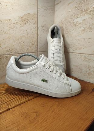 Мужские кроссовки, сникерсы, кеды lacoste carnaby evo 222